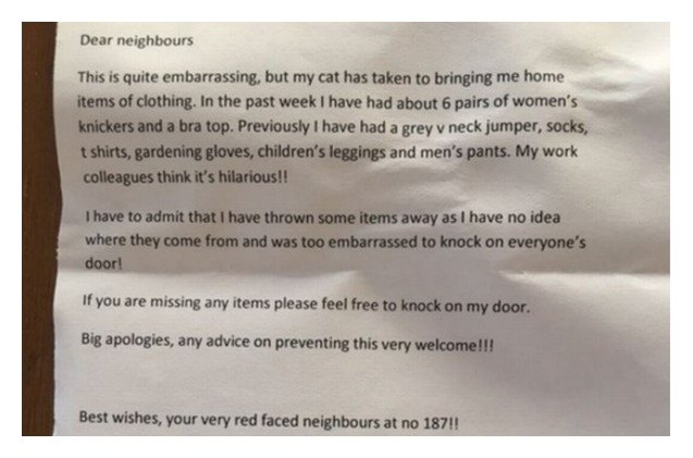 panty stealing pussy prompts hilarious apology letter