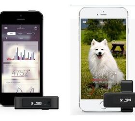 tractive 3g gps keeps tabs on your pet in real time
