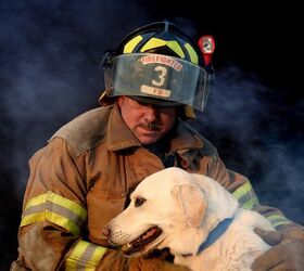 4 Tips to Keep Pets Safe From House Fires