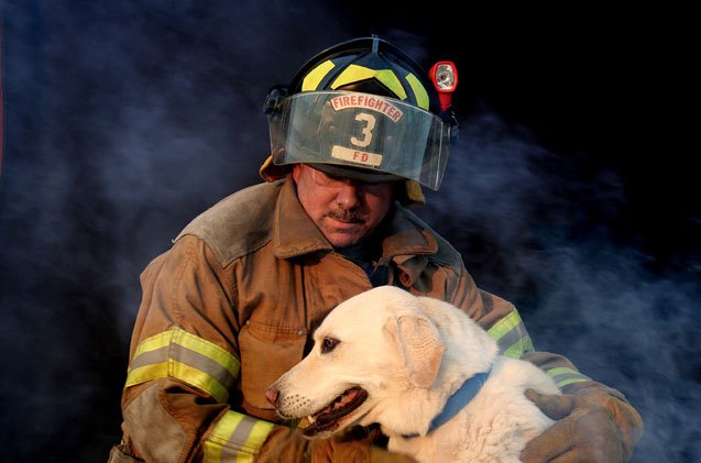 4 tips to keep pets safe from house fires