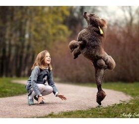 Adorable New Photo Collection Captures Little Girl Dancing With Dogs