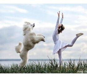 Woman dancing with sales dog