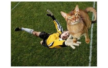 Cats Photoshopped in Soccer Pictures Score All The Goals