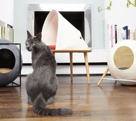 budding designers are invited to invent a prize winning cat bed