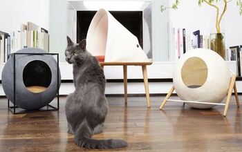 Budding Designers Are Invited to Invent a Prize-Winning Cat Bed