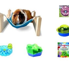 kaytee helps hamsters light it up with new products
