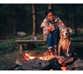 proper canine camping etiquette for well mannered mutts