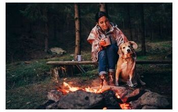 Proper Canine Camping Etiquette For Well-Mannered Mutts