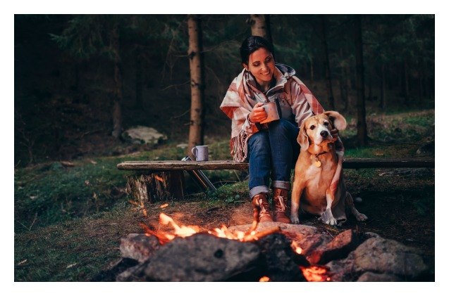 proper canine camping etiquette for well mannered mutts