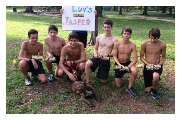 high school track team runs with the big and little shelter dogs