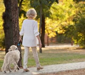 Study: Dog Walking is Great Exercise for the Elderly