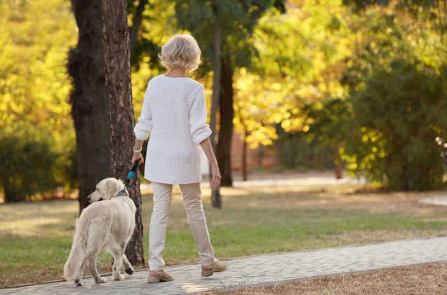 study dog walking is great exercise for the elderly