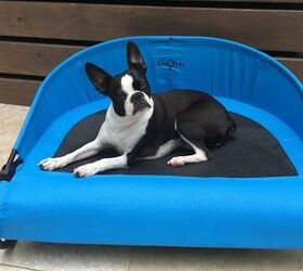 product review gen7pets cool air cot