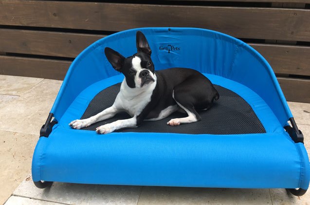 product review gen7pets cool air cot