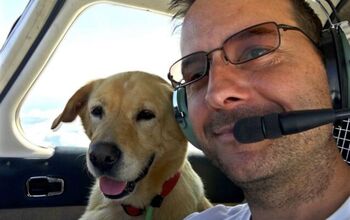 Army Veteran Buys His Own Plane To Fly Shelter Dogs to New Homes