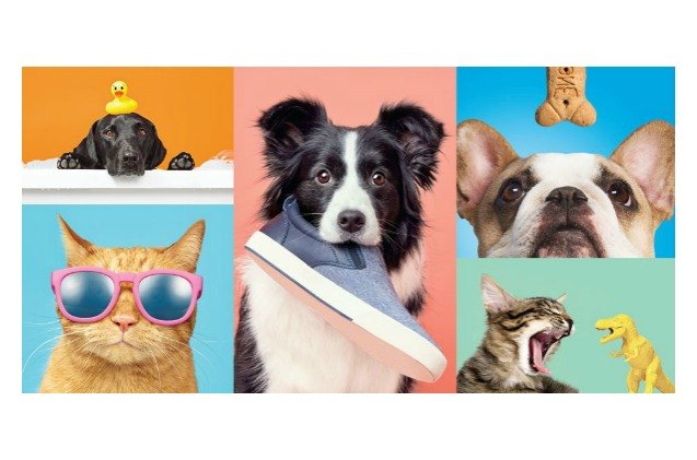 target pairs with barkbox to offer cool pet products in store