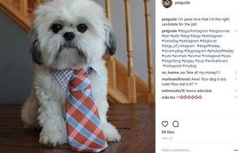 Your Pet Could Be the Star of PetGuide’s Instagram Page!