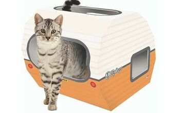 Kitty Camper Van Hits All the Bases When It Comes to Roughing It