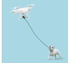 Dog-Walking Drone Lets You Be As Lazy As You Wanna Be