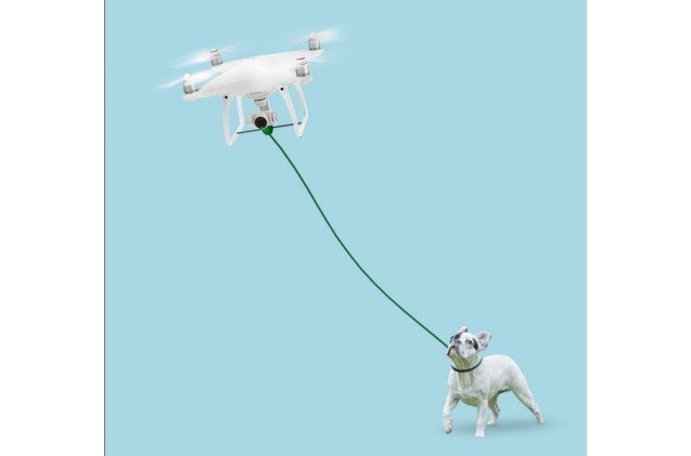 dog walking drone lets you be as lazy as you wanna be