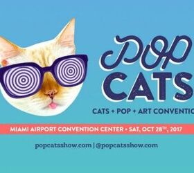 POPCats Brings Catitude to Miami This October