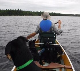 What I Did This Summer: Canine Canoe Adventure in Nova Scotia Part 1