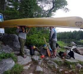 what i did this summer canine canoe adventure in nova scotia part 1