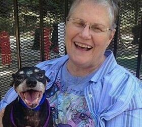 Woman Gives Dying Dog a Taste of Family in His Last Days