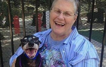 Woman Gives Dying Dog a Taste of Family in His Last Days