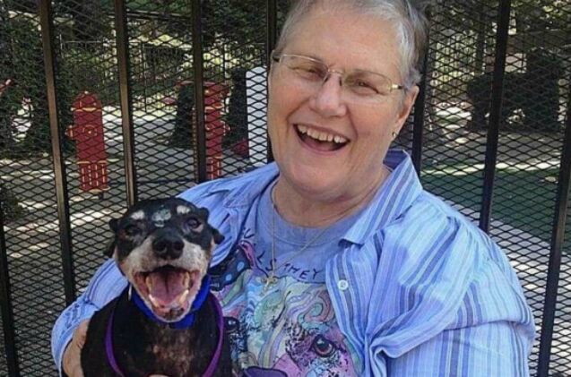 woman gives dying dog a taste of family in his last days