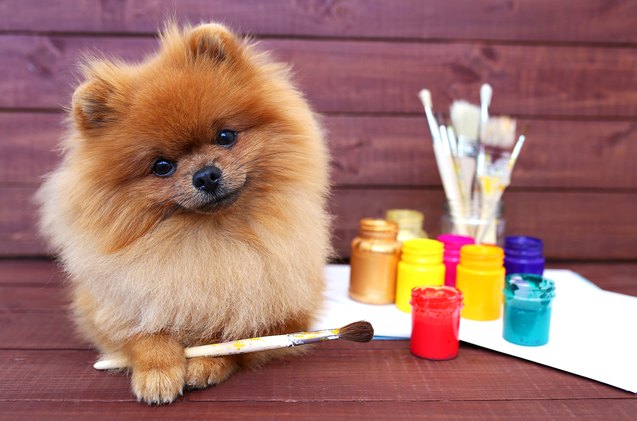 westminster kennel club pairs with pratt institute for annual art contest