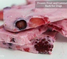 Frozen Fruit and Lavender Bark for Dogs