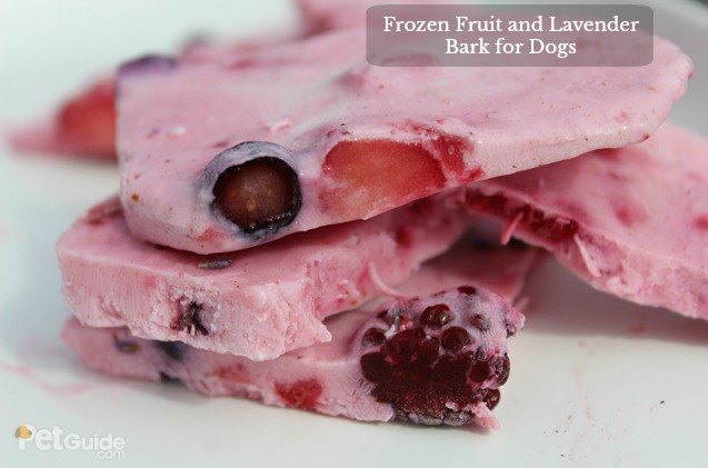 frozen fruit and lavender bark for dogs