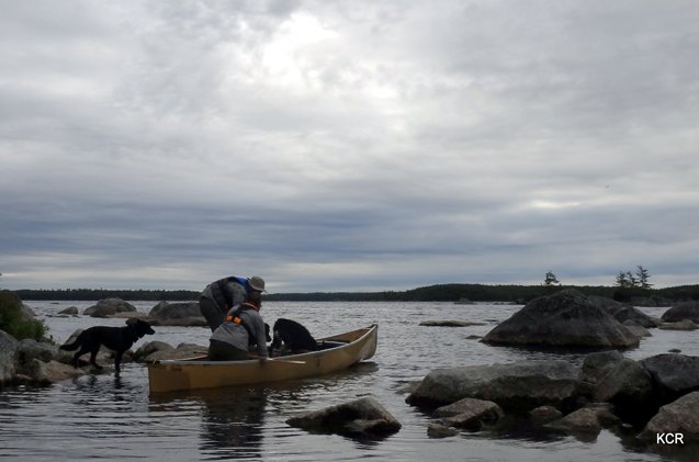what i did this summer canine canoe adventure in nova scotia part 2