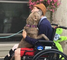 A Tearful Reunion After a Tragic Car Accident Brings the Best Tail Wag