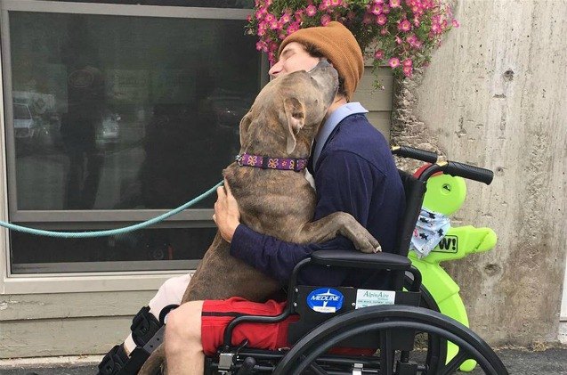 a tearful reunion after a tragic car accident brings the best tail wags ever