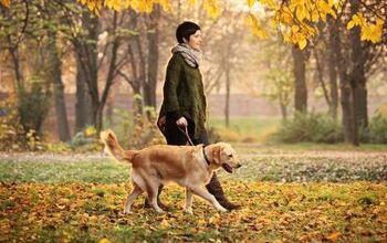 Study: You Walk Your Dog For Happy Reasons, Not Health Reasons