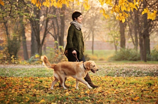 study you walk your dog for happy reasons not health reasons