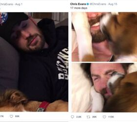 chris evans is reunited with his dog and it feels so good video