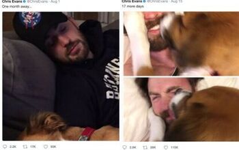 Chris Evans Is Reunited With His Dog and It Feels So Good! [Video]