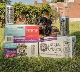 Urban Chestnut Brews Exclusive Beer to Encourage Pet Adoption