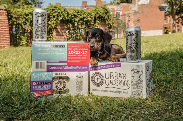 urban chestnut brews exclusive beer to encourage pet adoption
