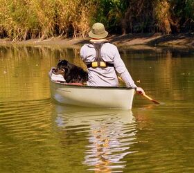 golden oldies paddling with a senior pooch
