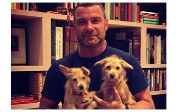 Liev Schreiber Adopts Two Hurricane Harvey Pups