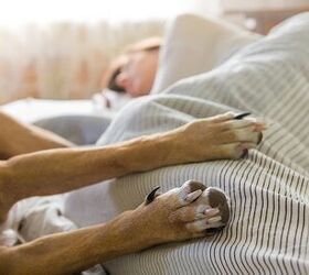 Does Sharing a Bed With Your Dog Affect Your Sleep?