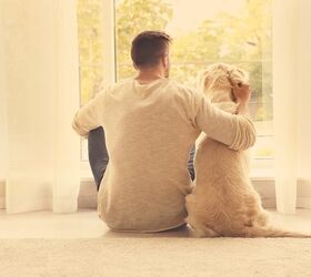 How Do I Know What’s the Best Dog for Me? PetGuide