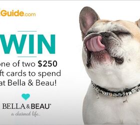 Win One of Two $250 Gift Certificates From Bella &#038; Beau