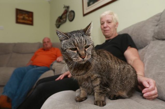 nutmeg the oldest cat in the world dies aged 32