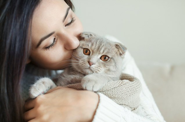 5 pawstive reasons why cats steal our hearts