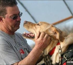 Amazing Service Dogs Trained Dogs Help Disabled Farmers